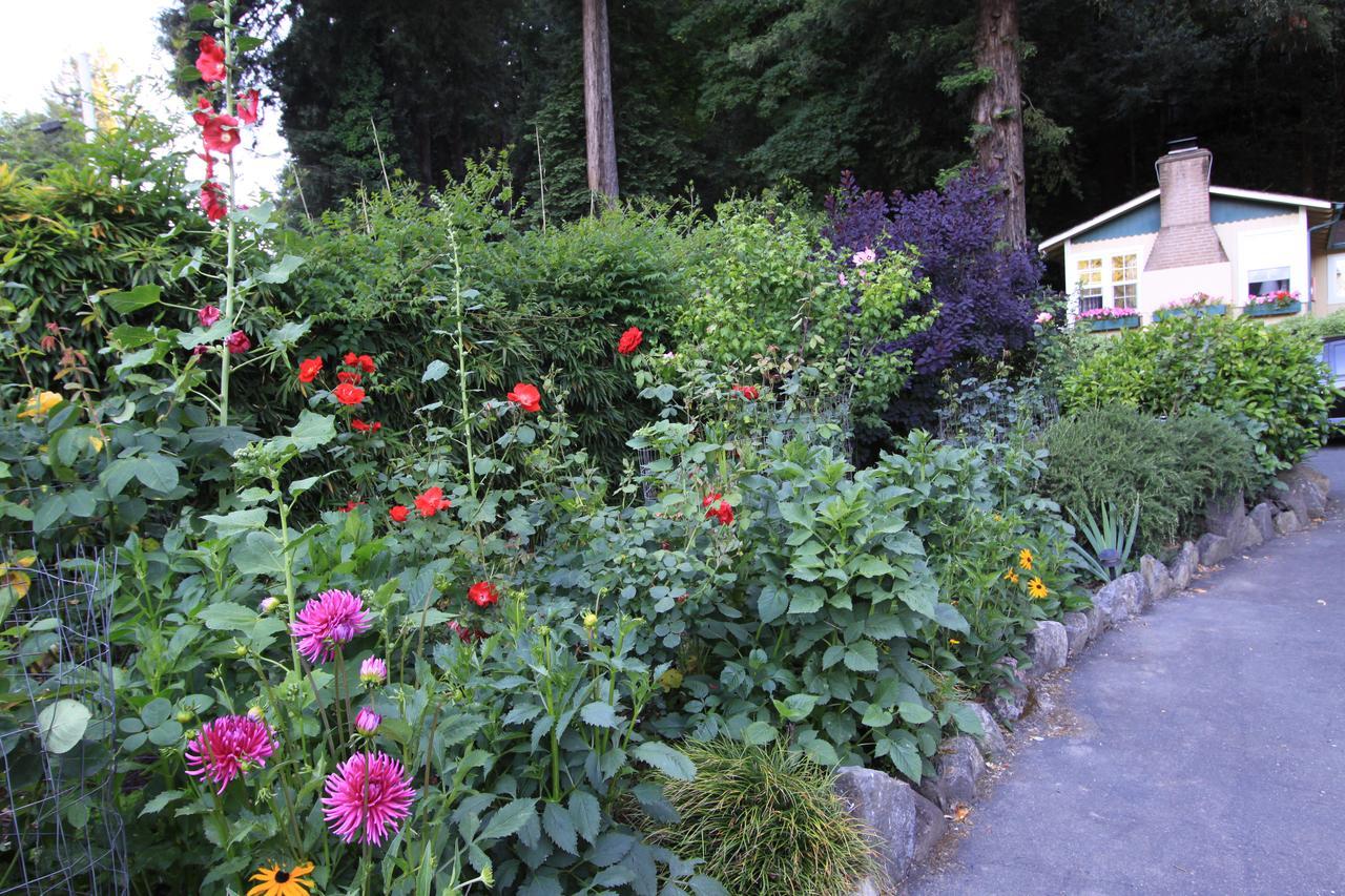 Fern Grove Cottages Guerneville Eksteriør bilde