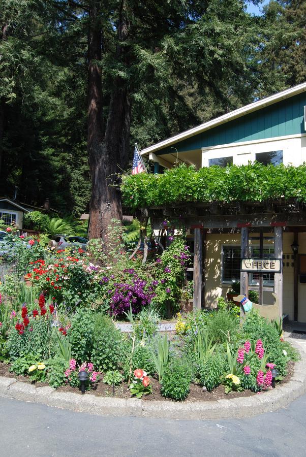 Fern Grove Cottages Guerneville Eksteriør bilde